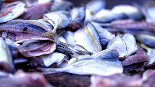 Full frame shot of fish for sale in market