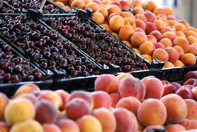 Fruits for sale at market stall