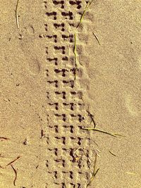 Full frame shot of sand