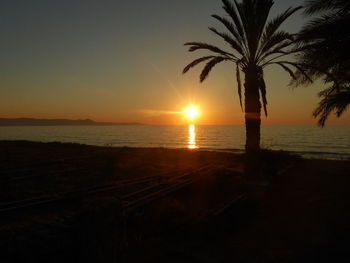 Silhouette palm trees on beach against sky during sunset