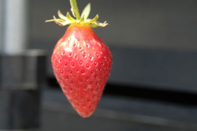 Close-up of red fruit