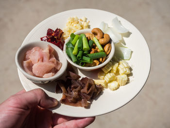 Midsection of person holding ingredients for thai cashew chicken on plate