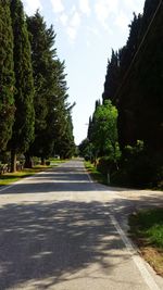 Road amidst trees against sky