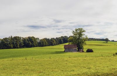 Scenic view of farm against sky