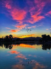 Silhouette birds flying over lake against sky at sunset