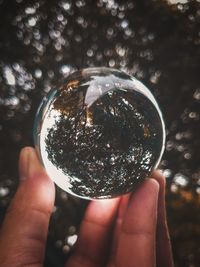 Cropped image of hand holding crystal ball