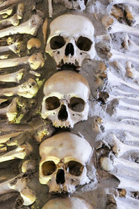 Close-up of human skull