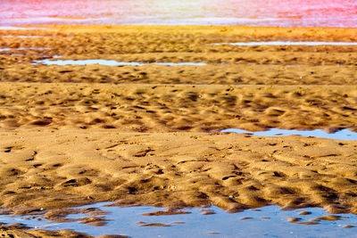 Close-up of sand on beach