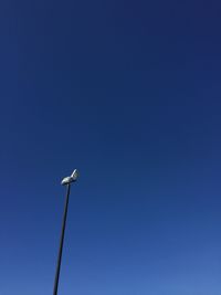 Low angle view of street light against clear blue sky