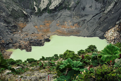 High angle view of lake along trees