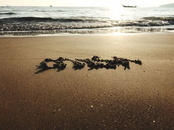 Close-up of shore at beach against sky