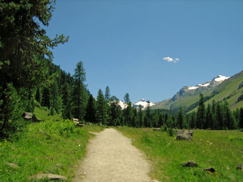 Footpath amidst trees against sky