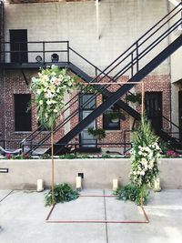 Staircase by potted plants on steps