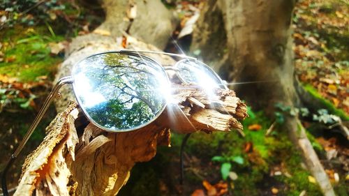 Close-up view of sunlight