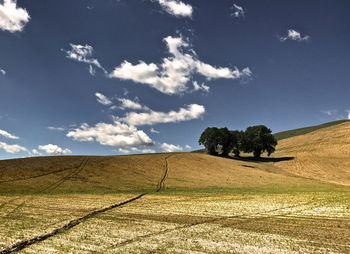 Scenic view of field against sky