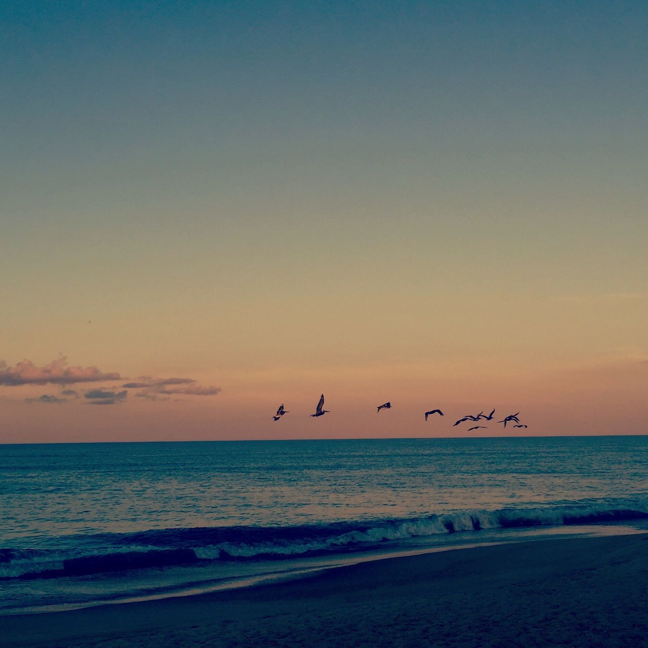 Sanderling Beach @ Martin Lane