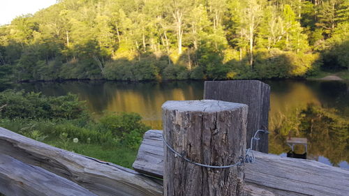 Scenic view of lake against trees