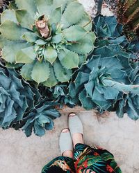 Low section of woman standing by plants