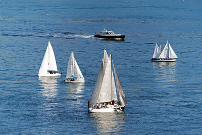 Sailing boats and yachts in bosporus cup in istanbul, turkey