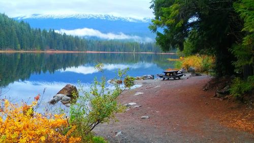 Scenic view of lake in forest against sky