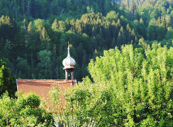 Bell tower of small chapel surrounded by trees and forest