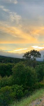 Scenic view of field against sky during sunset