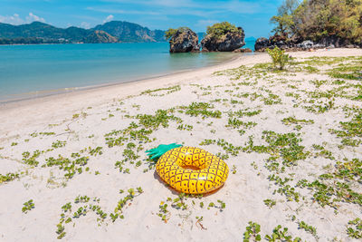 Scenic view of beach against sky