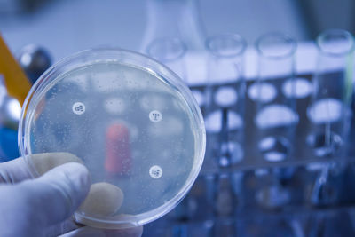 Cropped hand holding petri dish by test tubes in laboratory 