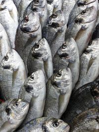 Full frame shot of fish for sale in market