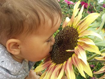 Close-up portrait of baby smelling sunflower