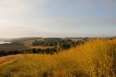 Scenic view of field against sky