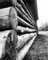 Close-up of log on tree