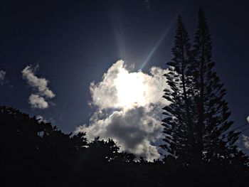 Low angle view of trees against sky