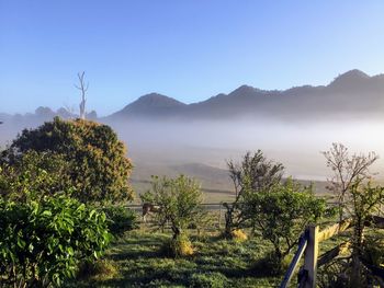 Scenic view of mountains against clear sky