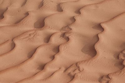 Full frame shot of sand dune