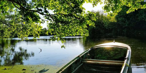 Scenic view of lake