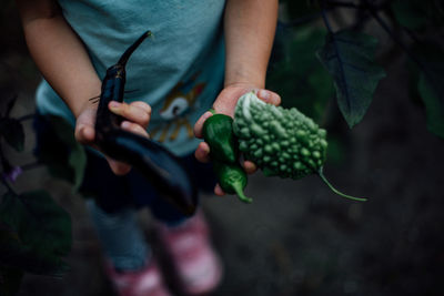 Holding vegetables from a garden
