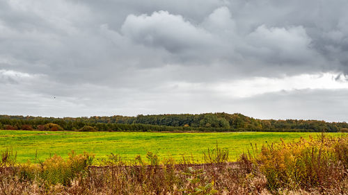 Scenic view of agricultural field against sky