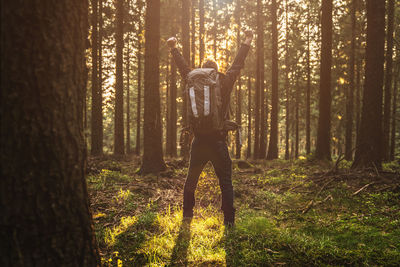 Rear view of man in forest