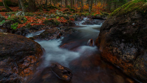 Stream flowing through rocks in forest