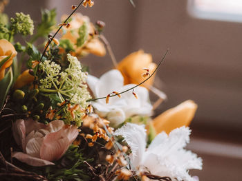 Close-up of potted plant