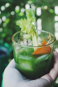 Cropped hand of person holding celery juice