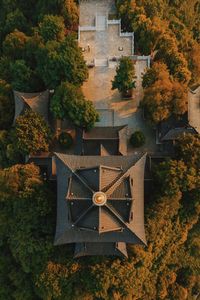 High angle view of trees by building