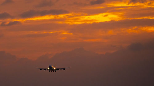 Low angle view of airplane flying in sky during sunset