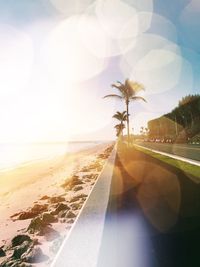 Scenic view of beach against clear sky