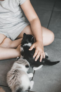 Midsection of woman with cat on floor