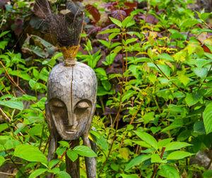 Close-up of statue against plants