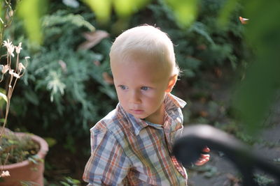 Boy looking away while standing at backyard