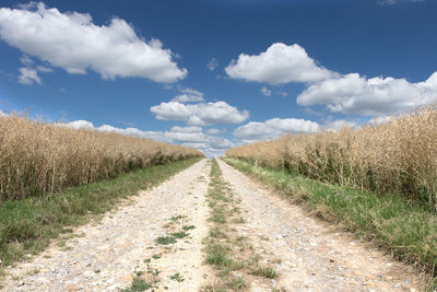 Empty road along countryside landscape