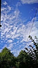 Low angle view of trees against sky